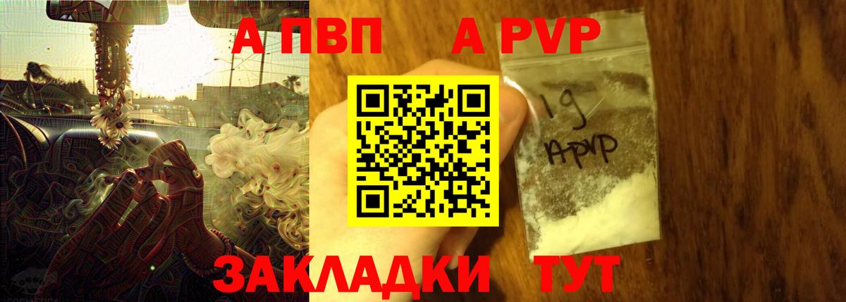 A-PVP СК Сосновый Бор