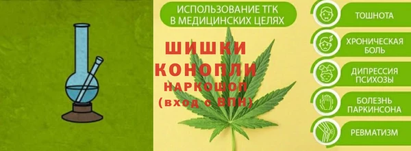 амф Шадринск