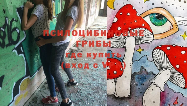 гашик Заволжск