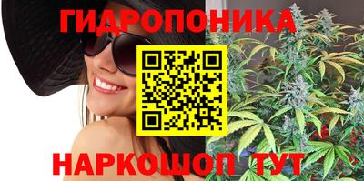 МДПВ Можайск