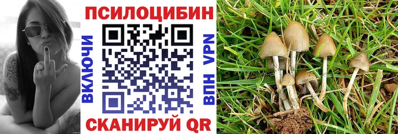 Галлюциногенные грибы GOLDEN TEACHER  сколько стоит  Сосновый Бор 