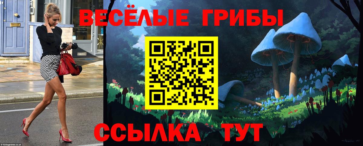 Галлюциногенные грибы MAGIC MUSHROOMS Сосновый Бор
